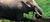 Toledo Zoological Gardens::Toledozoo