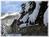 The Phoenix at Steamboat::Travelocity