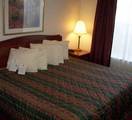 Homewood Suites By Hilton Rochester/Henrietta