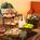 TownePlace Suites by Marriott Findlay from Orbitz