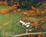 The Inn At Buck Hollow Farm::BedAndBreakfast.com