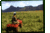 Kauai ATV::Kauai ATV