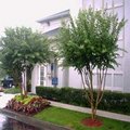 Tn-p97597_ext_01_e