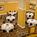 Griffin Gate Marriott Resort - J W's Steakhouse Restaurant::Orbitz