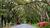 Magnolia Springs Bed & Breakfast::BedAndBreakfast.com
