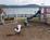Holiday Inn Lake Guntersville::ProfessionalTravelGuide.com