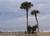 Holiday Inn Hotel Suites Daytona::Orbitz