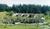 Deer Harbor Inn::ProfessionalTravelGuide.com