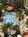 Embassy Suites Deerfield Beach - Boca Raton/Hotel & Resort from Travelocity.com