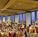 Renaissance St Louis Airport Hotel::Expedia