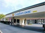 Comfort Inn Eagle Rock