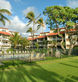 Kapaa Shore