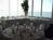 Best Western Yacht Harbor Inn::Orbitz