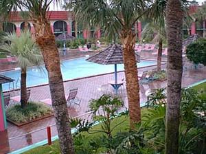 Web-orl_sher-poolo-1