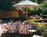 Embassy Suites Hotel�� Napa Valley-Wine Country::Travelocity.com