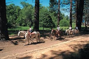 Web-14415-attra-1