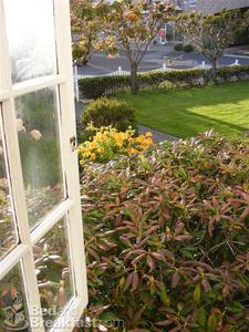 The Gilbert Inn::BedAndBreakfast.com