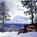 Best Western Payson Inn from Orbitz