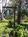 Coxhead House Bed And Breakfast Inn::BedAndBreakfast.com