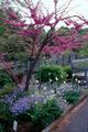 Minnesota Landscape Arboretum