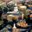 Courtyard by Marriott Annapolis::Orbitz