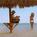Marriott Marco Island Beach Resort Golf Club and Spa::Orbitz
