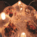 Park Central Hotel::Orbitz