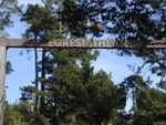 Indoor Forest Theatre::Yahoo! Travel