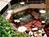 Holiday Inn Select Koger South::Orbitz