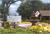 Rose Garden Inn::ProfessionalTravelGuide.com