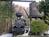 Dollywood::ThrillNetwork.com
