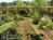 Backyard Garden Oasis::BedAndBreakfast.com