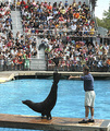 New York Aquarium