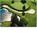 Harbourtowne Golf Resort::Priceline.com