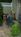 The Gaslight Inn::TripAdvisor