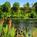 Riverside Inn Resort::Hotels.com