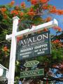Avalon Bed & Breakfast