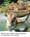 Brandywine Zoo::Brandywine zoo