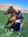 K3 Guest Ranch Bed Breakfast::BedAndBreakfast.com