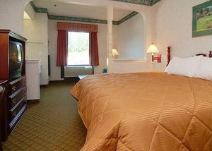 Comfort Inn Greenville::Travelocity.com