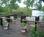 Rodeway Inn Grand Island::Hotels.com