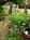 1825 Inn Bed and Breakfast::BedAndBreakfast.com