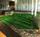 Holiday Inn Convention Center Airport::Orbitz