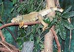Henry Vilas Zoo