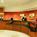 Springhill Suites by Marriott Dulles Airport::Priceline.com