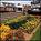 Best Western Stony Hill Inn::Hotels.com