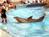 Best Western Marina Grand Hotel::Orbitz