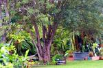 Kauai Country Inn