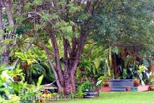 Kauai Country Inn::BedAndBreakfast.com