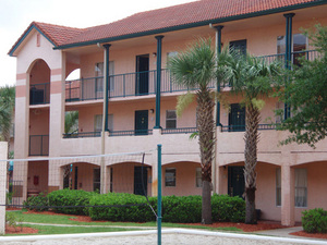 Blue Tree Resort::Orbitz